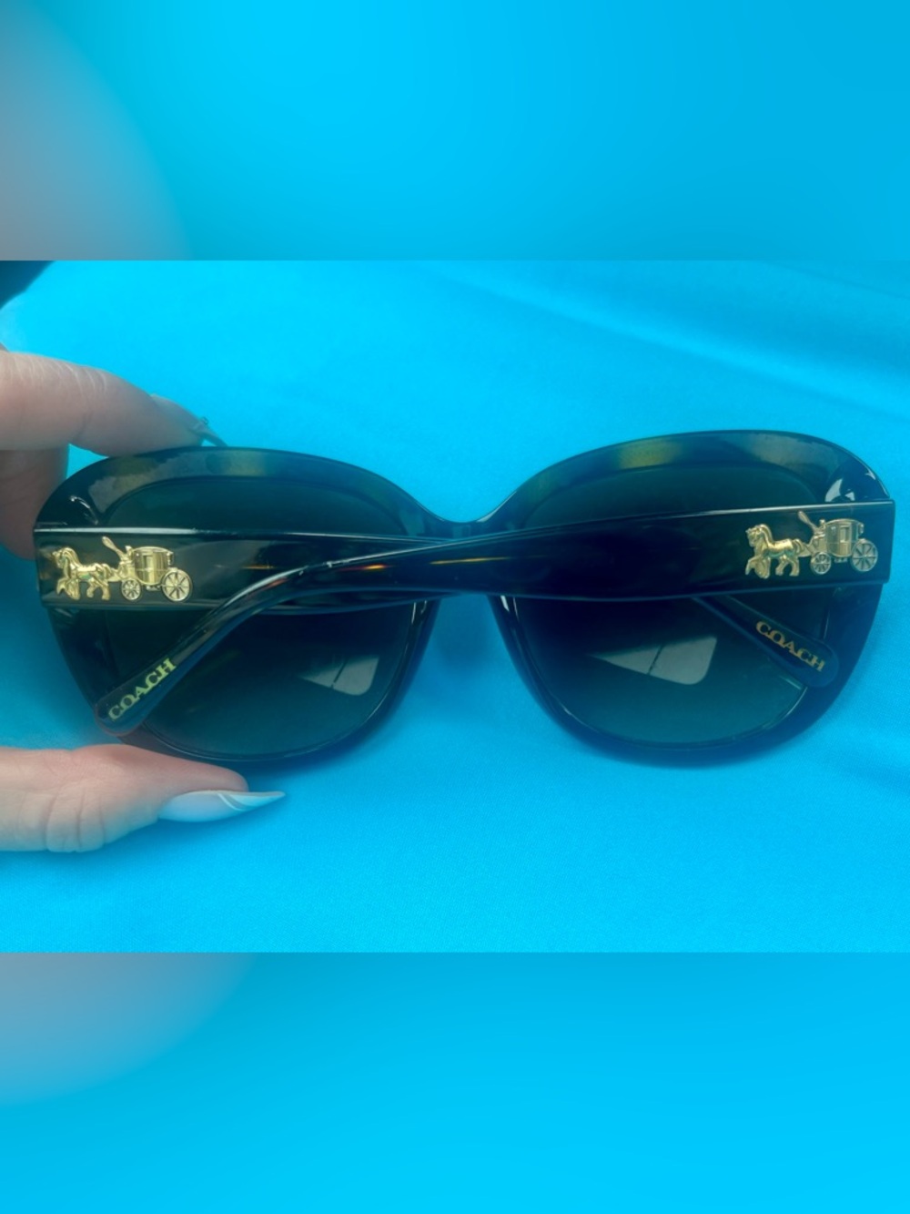 Coach Black Women's Sunglasses - Sleek Oversized Frame